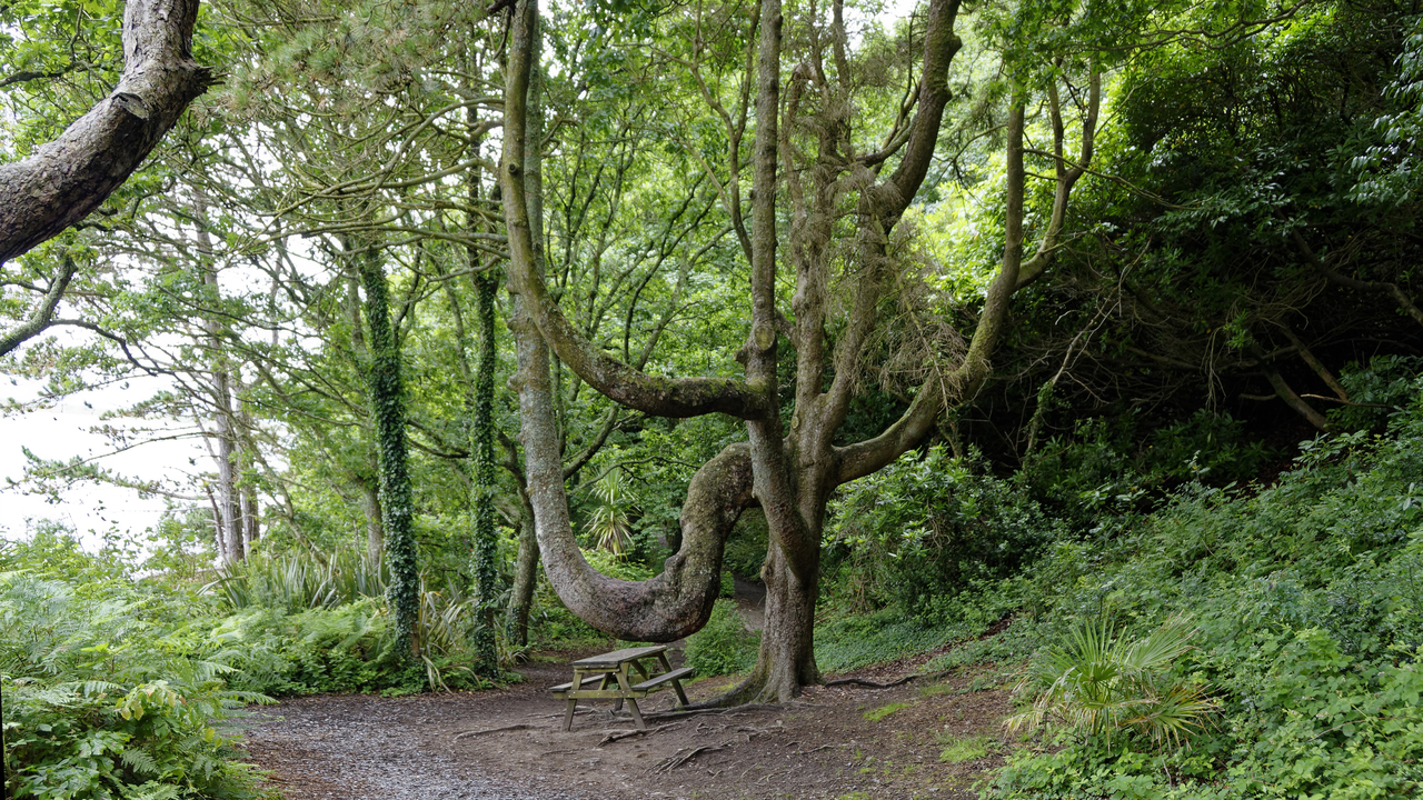 20170629 130809•Portmeirion Italianate Village•Portmadog•Gwynedd•Wales
